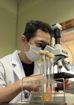 imb,アイエムビー,アガリクス,アガリクスへの想い,研究員