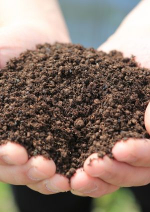 imb,アイエムビー,アガリクス,栽培を支える土,培地