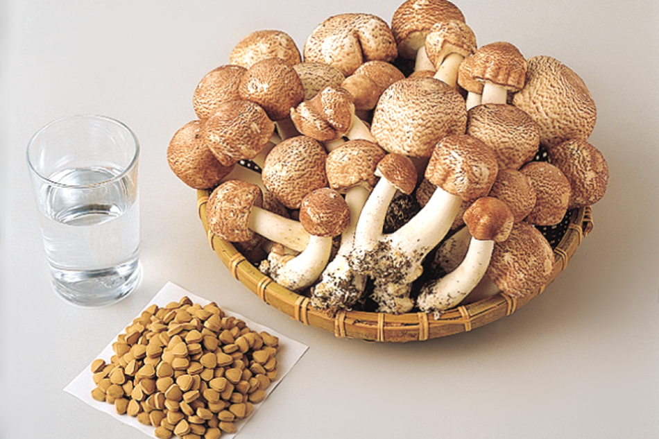 アガリクス＆粒の盛