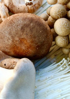 きのこダイエット,imb,アイエムビー,アガリクス