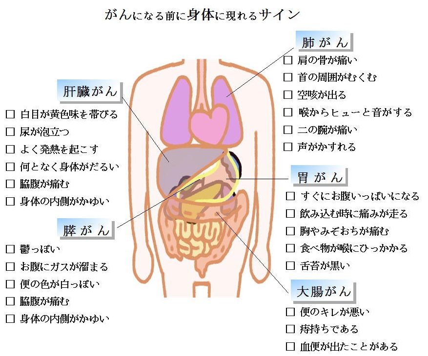imb,アイ・エム・ビー,アガリクス,きのこ,松茸