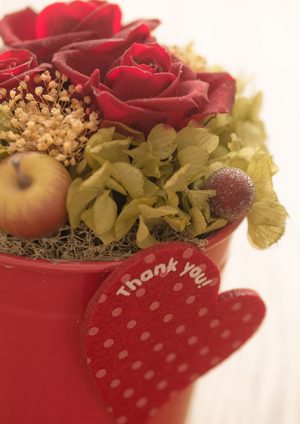 imb,アイ・エム・ビー,アガリクス,きのこ,松茸